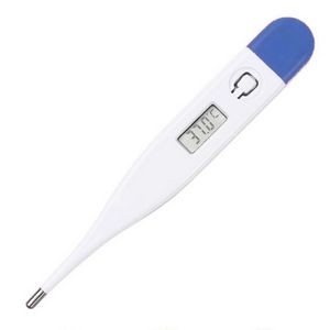 Fahrenheit Digital Basal Body Thermometer