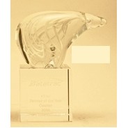 Environmental Safety Glass Award (6"x3.5")