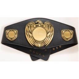 Championship Belt w/Medallion