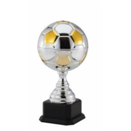 15" Impressive Soccer Champion Award