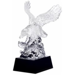 Sr. Accounting Crystal Eagle Award