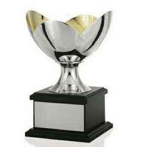 11¼" Championship Cup Award
