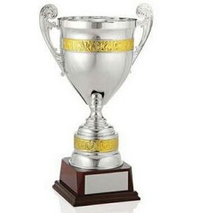 21 5/6" Championship Cup Award