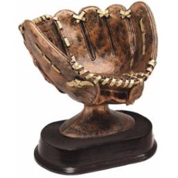 Bronze Softball Glove Award