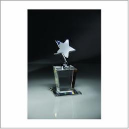 Shining Star Award w/Crystal Base