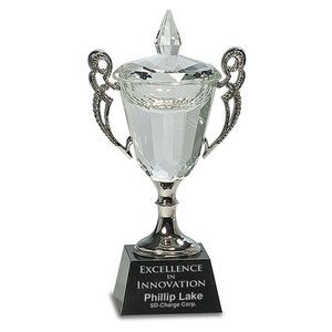 7¼" Crystal Cup Trophy w/Silver Handles and Stem