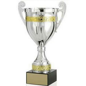 17¾" Grand Champion Trophy w/Handles