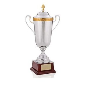 22" Winner's Cup Award