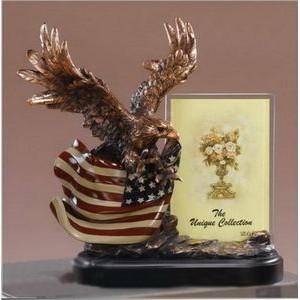 Resin Eagle/American Flag Picture Frame Award (9"x10")