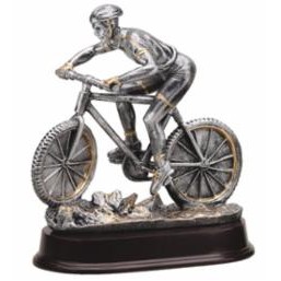 Gold Male Mountain Cycling Award