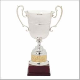 22" Best Product Champion Trophy