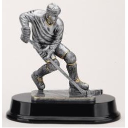 Small Male Ice Hockey Award
