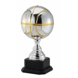 17" Unique Champion Basketball Award