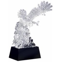 International Achievement Crystal Eagle Award