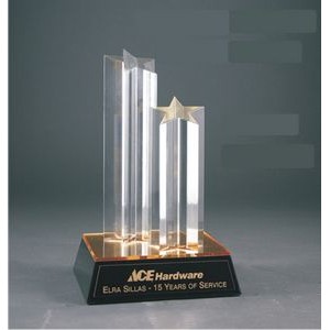 9½" Acrylic Double Star Award