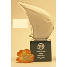 Environmental Safety Glass Award w/Black Base