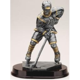 Male Ice Hockey Player Award
