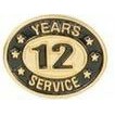 12 Years Service Stock Die Struck Pin