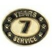 7 Years Service Stock Die Struck Pin