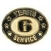 6 Years Service Stock Die Struck Pin