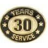 30 Years Service Stock Die Struck Pin