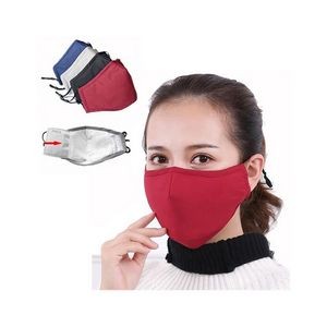 3 layers Mask With Replaceable 2.5PM Filter Pouch