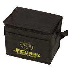 Insulated 6 Pack Cooler Bag