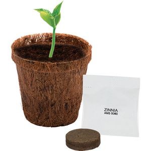 CoCo Planter Kit