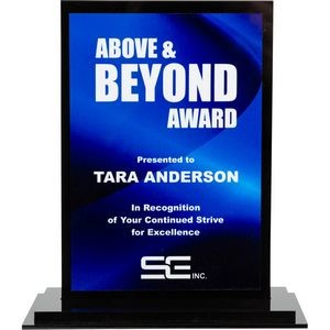 Acrylic/Metal Desk Award 4