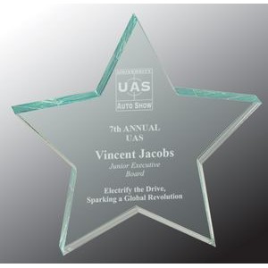 Star Paper Weight Acrylic Award