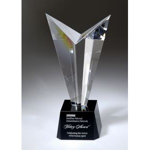 Crystal Victory Award