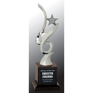 Silver Art Star Award