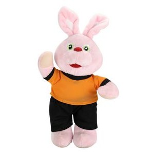 Dressed for Spring Bunny, A Rabbit in Pink with Clothes