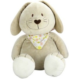 The Sweet Smile Bunny, A Child Friendly Rabbit with Bandana