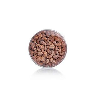 Cinnamon Toffee Almonds Acetate
