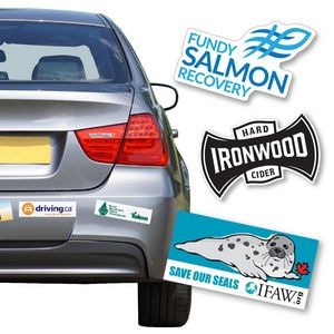 Bumper Stickers W/Removable Backing