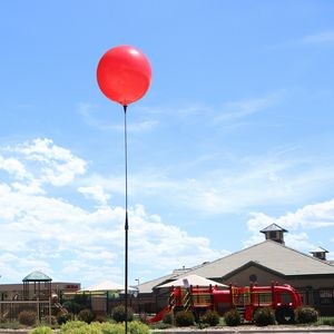 Balloon Bobber Long Pole Kit (no mount)