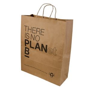 Paper Shopping Bag (13"x5"x16")