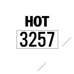 Hot 3257 D.O.T. Placard, Vinyl Placard - 10.75" x 10.75"