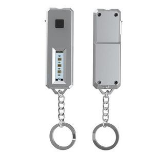 Mini UVC Lamp Sanitizer Light w/Key Chain