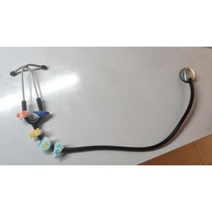 Custom Stethoscope Charms