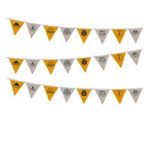 Multi Color Pennant Flags Outdoors