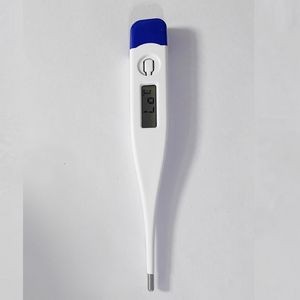 Digital Hypothermia Thermometer