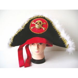 Pirate Hat w/Gold Skull & Crossbones