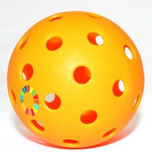 40 Holes Pickle Ball Full Color Logo Custom Official Size Pickleball