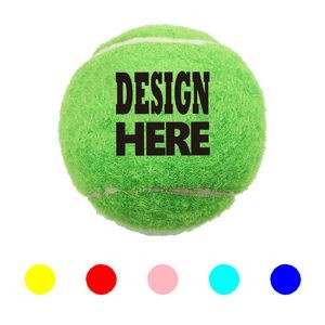 Pet Fetch Toy Tennis Ball