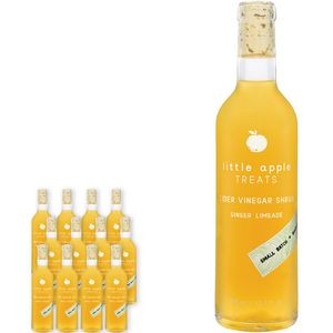 Little Apple Treats Ginger Limeade Shrub: 12.7 oz Bottle