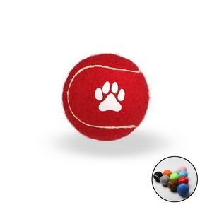 Pet Fetch Toy Tennis Ball