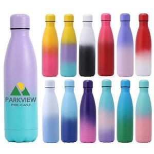 17 oz Color block Vacuum Insulated Stainless Steel Bottle