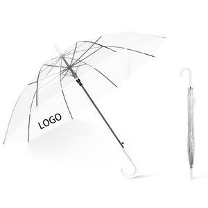 Clear Umbrella/Transparent Auto Open Stick Umbrella